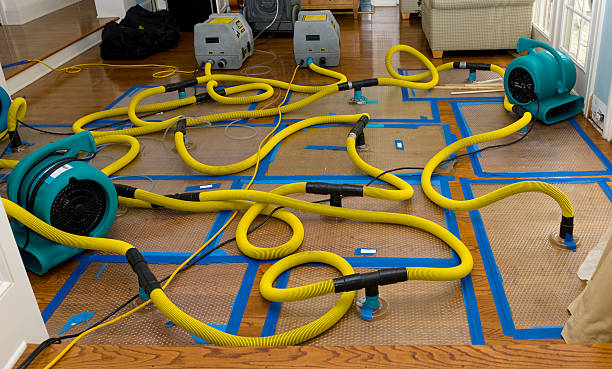 Professional Crawl Space Water Removal technician working in Harpster, OH